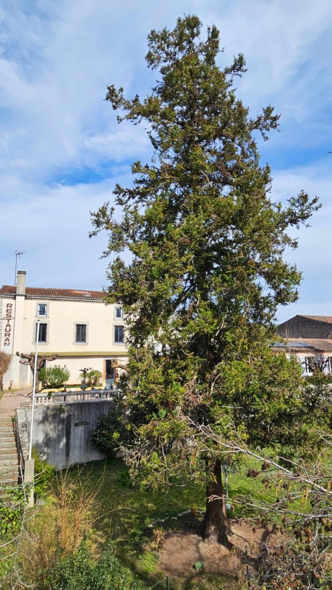 Coliv'Castres Vila Burlats Exterior foto